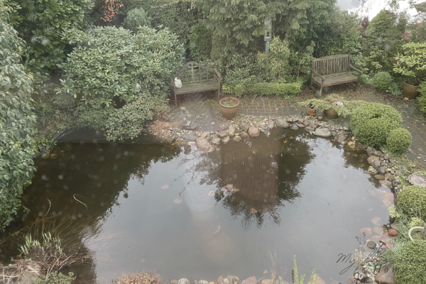 Garten alt Canva
